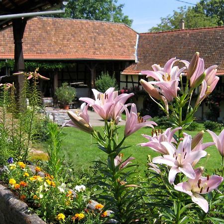Le Gite Des Ecureuils Schalkendorf Exteriér fotografie