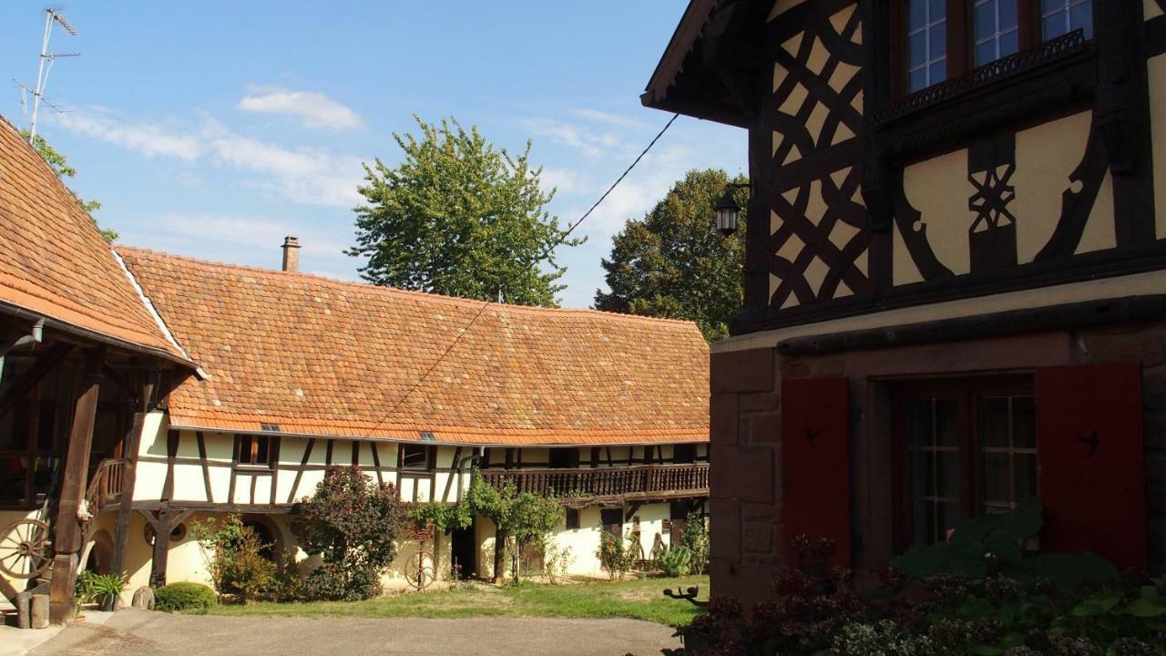 Le Gite Des Ecureuils Schalkendorf Exteriér fotografie