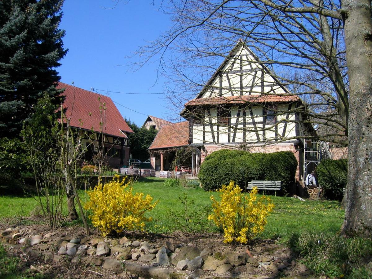 Le Gite Des Ecureuils Schalkendorf Exteriér fotografie